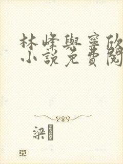 林峰与宁欣正版小说免费阅读最新封面