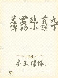 叶君临有九个师傅的小说下载