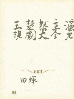 王楚然主演的电视剧大全免费观看封面