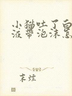 小猫吐了白色粘液带泡沫怎么办