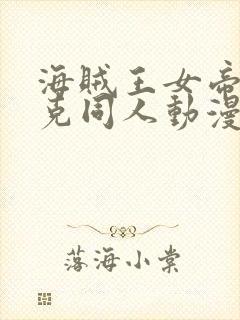 海贼王女帝汉库克同人动漫免费观看封面