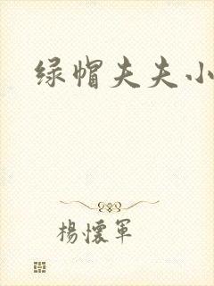 绿帽夫夫小说