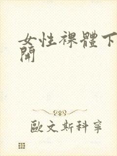 女性裸体下面张开