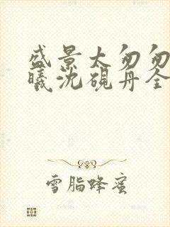 盛景太匆匆宁若曦沈砚舟全集阅读封面