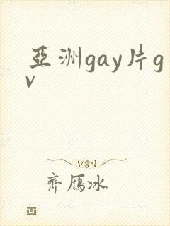 亚洲gay片gv封面