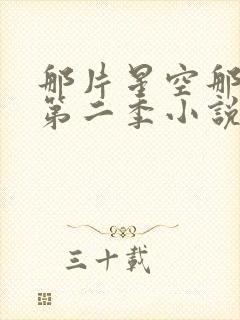 那片星空那片海第二季小说封面