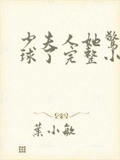 少夫人她惊艳全球了完整小说