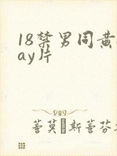 18禁男同黄gay片封面