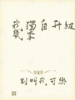 我独自升级一共几季