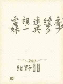 电视连续剧六姊妹一共多少集封面