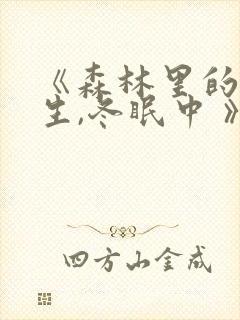 《森林里的熊先生,冬眠中 》