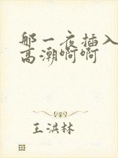 那一夜插入少妇高潮啊啊