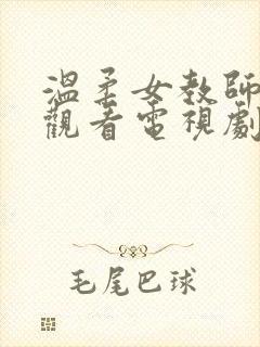 温柔女教师在线观看电视剧完整版中