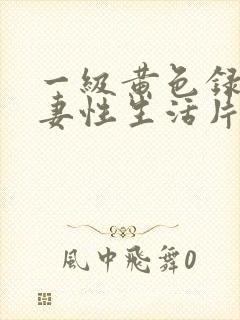 一级黄色录相夫妻性生活片