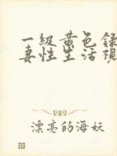 一级黄色录像夫妻性生活视频