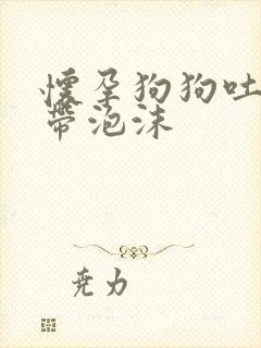 怀孕狗狗吐黄水带泡沫