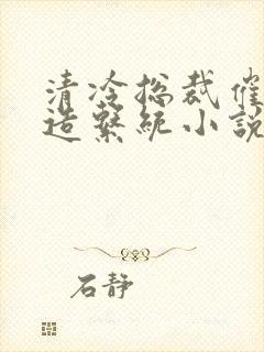 清冷总裁催眠改造系统小说免费阅读