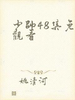 少帅48集免费观看