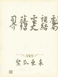 司藤电视剧剧情介绍大结局