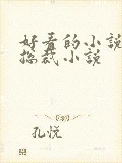 好看的小说推荐总裁小说