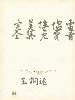 完美伴侣电视剧全集免费看