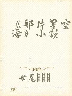 《那片星空那片海》小说