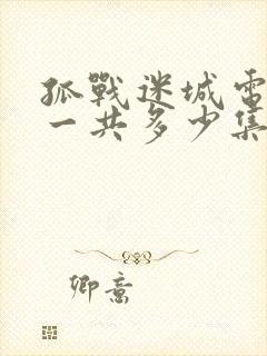 孤战迷城电视剧一共多少集