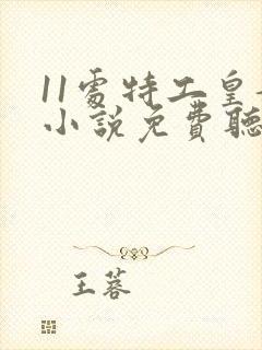 11处特工皇妃小说免费听书