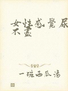 女性感觉尿频尿不尽封面