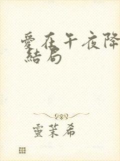 爱在午夜降临前 结局