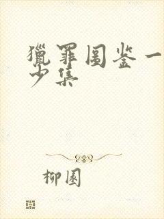 猎罪图鉴一共多少集