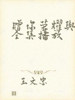 赠你荣耀与黑暗全集播放