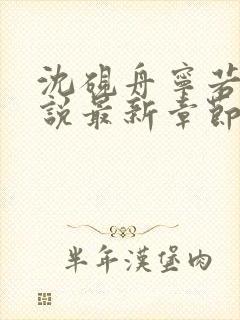 沈砚舟宁若曦小说最新章节