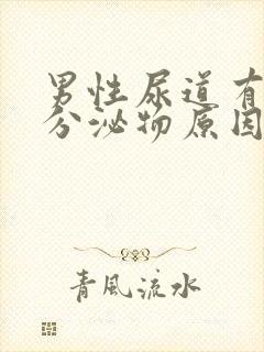 男性尿道有白色分泌物原因