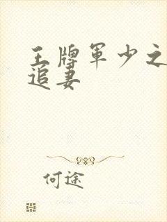 王牌军少之特战追妻