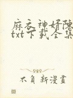 麻衣神婿陈黄皮txt下载全集封面