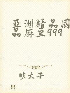 亚洲精品国产精品麻豆999