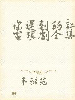 你迟到的许多年电视剧全集免费观看封面