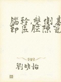 脑干,双侧基底节区腔隙灶是什么意思封面