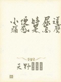 小便时尿道有刺痛感是怎么回事