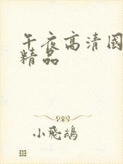 午夜高清国产啪精品