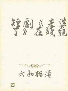 短剧《老婆别追了》在线观看封面