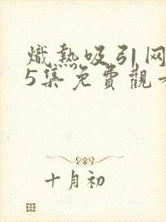 炽热吸引网剧25集免费观看