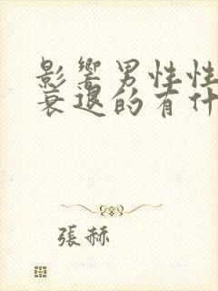 影响男性性功能衰退的有什么