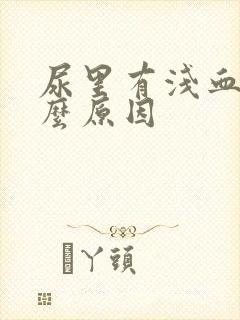 尿里有浅血是什么原因