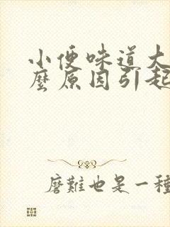 小便味道大是什么原因引起的