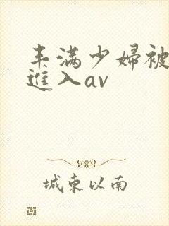 丰满少妇被猛烈进入av