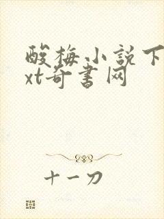 酸梅小说下载txt奇书网