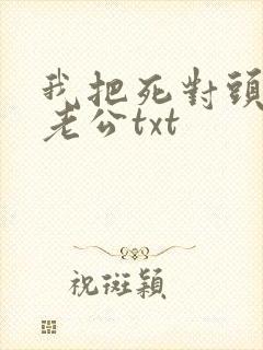 我把死对头养成老公txt