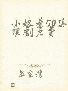 小娘惹50集电视剧免费